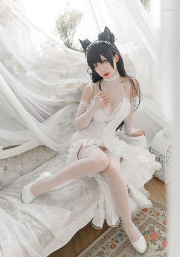 麻豆视频软件_1080P在线观看电视